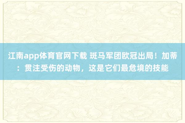 江南app体育官网下载 斑马军团欧冠出局！加蒂：贯注受伤的动物，这是它们最危境的技能