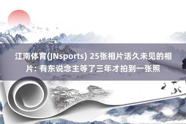 江南体育(JNsports) 25张相片活久未见的相片: 有东说念主等了三年才拍到一张照