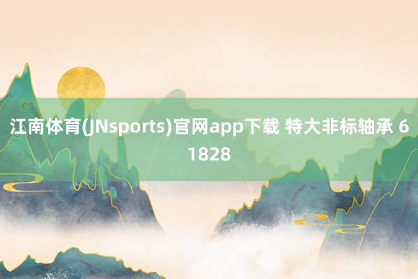 江南体育(JNsports)官网app下载 特大非标轴承 61828