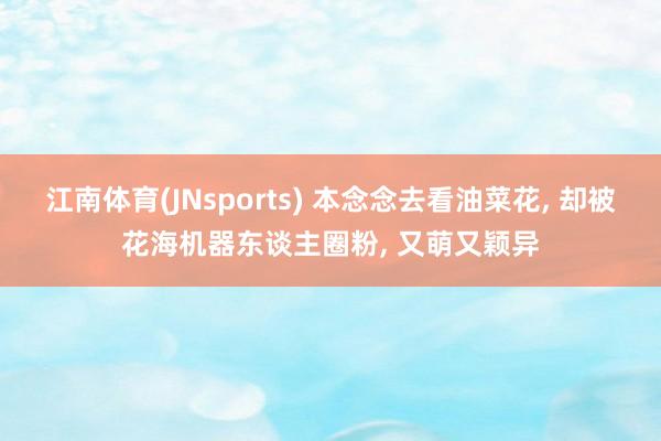 江南体育(JNsports) 本念念去看油菜花， 却被花海机器东谈主圈粉， 又萌又颖异