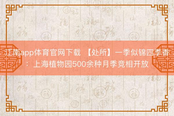 江南app体育官网下载 【处所】一季似锦四季香：上海植物园500余种月季竞相开放