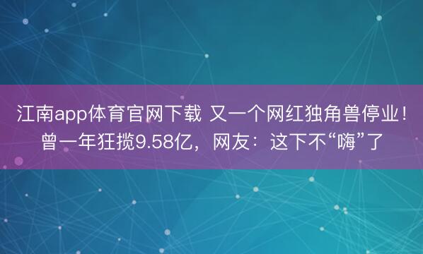 江南app体育官网下载 又一个网红独角兽停业！曾一年狂揽9.58亿，网友：这下不“嗨”了