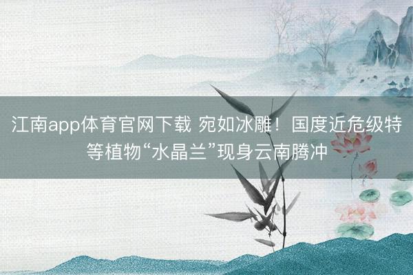 江南app体育官网下载 宛如冰雕！国度近危级特等植物“水晶兰”现身云南腾冲