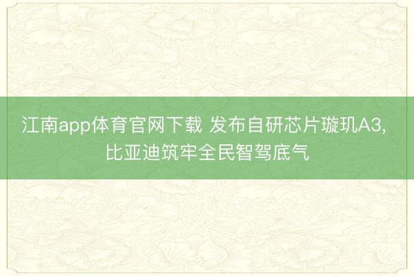 江南app体育官网下载 发布自研芯片璇玑A3， 比亚迪筑牢全民智驾底气