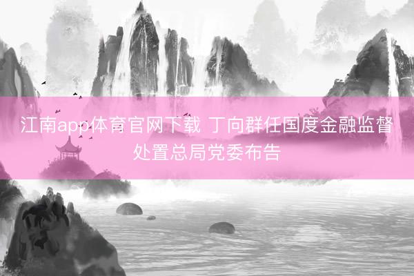 江南app体育官网下载 丁向群任国度金融监督处置总局党委布告