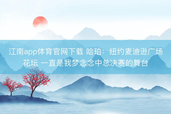 江南app体育官网下载 哈珀：纽约麦迪逊广场花坛 一直是我梦念念中总决赛的舞台