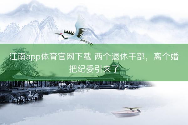 江南app体育官网下载 两个退休干部，离个婚把纪委引来了