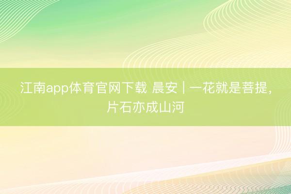 江南app体育官网下载 晨安 | 一花就是菩提，片石亦成山河
